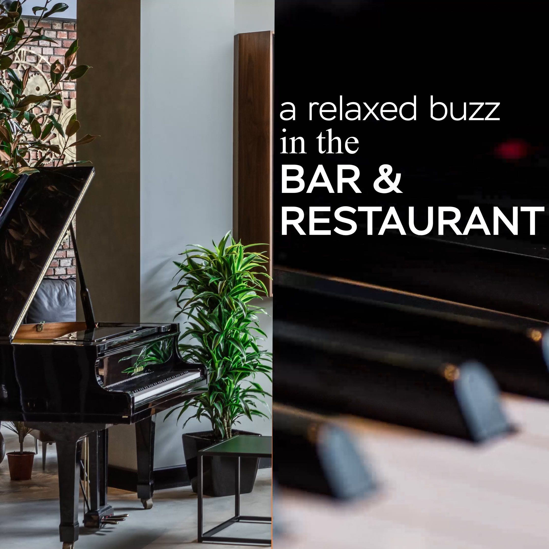 29 12 a relaxed buzz in the barrestaurant